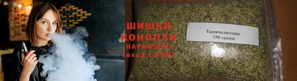 mdpv Горно-Алтайск