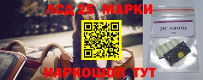 стаф Будённовск