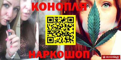 стаф Будённовск