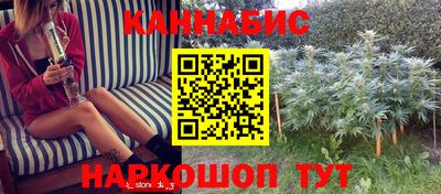 сатива Бузулук