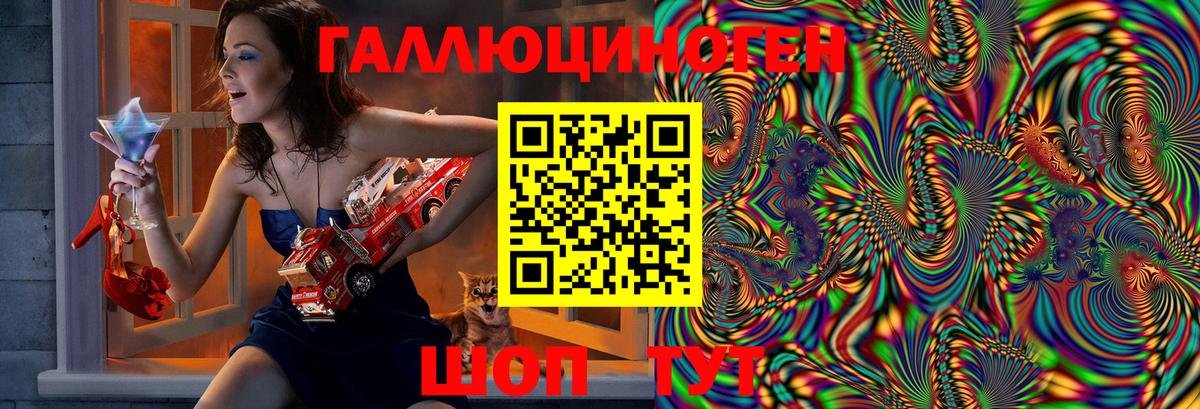 Галлюциногенные грибы Psilocybine cubensis Екатеринбург