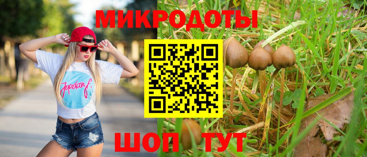 Псилоцибиновые грибы Cubensis  даркнет сайт  Екатеринбург 