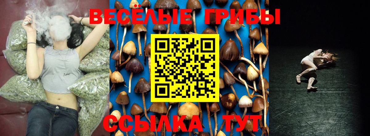 где продают наркотики  Вход с VPN  Екатеринбург  Галлюциногенные грибы Magic Shrooms 